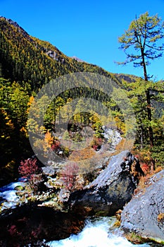 Daocheng Yading , a national level nature reserve in China