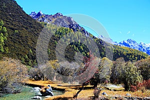 Daocheng Yading , a national level nature reserve in China