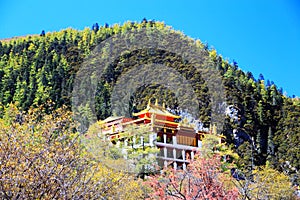 Daocheng Yading , a national level nature reserve in China