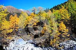 Daocheng Yading , a national level nature reserve in China