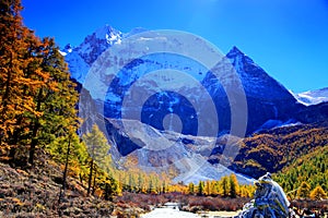 Daocheng Yading , a national level nature reserve in China