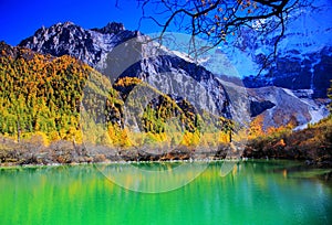 Daocheng Yading , a national level nature reserve in China