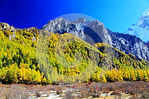 Daocheng Yading , a national level nature reserve in China