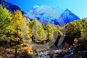 Daocheng Yading , a national level nature reserve in China