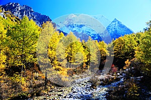 Daocheng Yading , a national level nature reserve in China