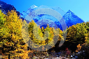 Daocheng Yading , a national level nature reserve in China