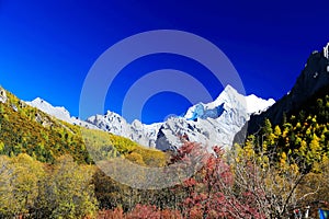 Daocheng Yading , a national level nature reserve in China