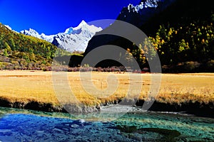 Daocheng Yading , a national level nature reserve in China