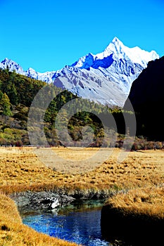 Daocheng Yading , a national level nature reserve in China