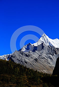 Daocheng Yading , a national level nature reserve in China