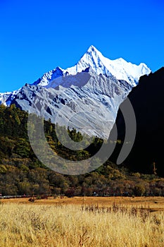 Daocheng Yading , a national level nature reserve in China