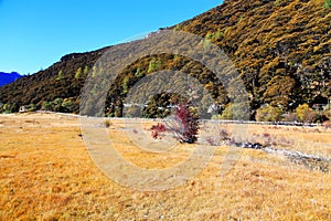 Daocheng Yading , a national level nature reserve in China