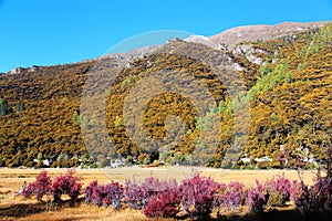 Daocheng Yading , a national level nature reserve in China