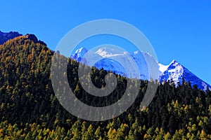 Daocheng Yading , a national level nature reserve in China