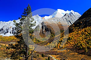 Daocheng Yading , a national level nature reserve in China