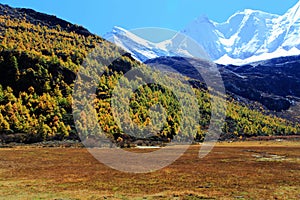 Daocheng Yading , a national level nature reserve in China