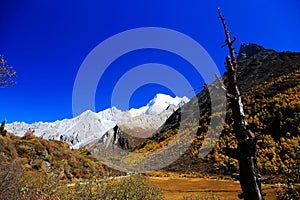 Daocheng Yading , a national level nature reserve in China