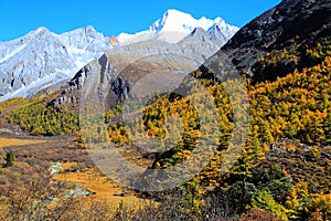 Daocheng Yading , a national level nature reserve in China