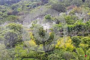 Dapingshan ( daping hill ) with morning fog