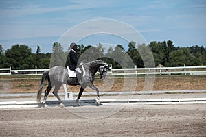 Dapple Gray Dressage Horse and Rider at a show