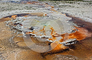 Dappled sinter deposits around Tardy Geyser in Upper geyser basin