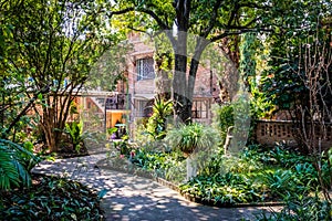 Dappled sun on a curving path with lush tropical plants everywhere and a brick building in the background