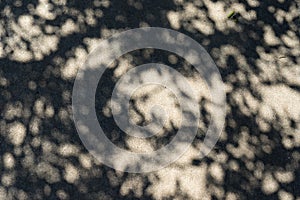 Dappled sunlight on concrete, tree shadow, background