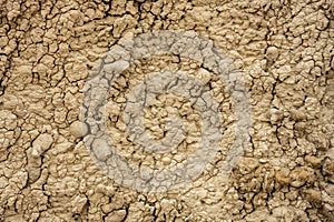 Dapples Of Dried Mud