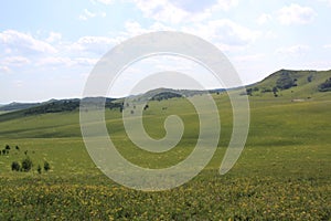 Daqing Mountain Grassland, Chifeng, Inner Mongolia