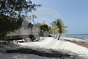 Vacations in Dar es Salaam photo