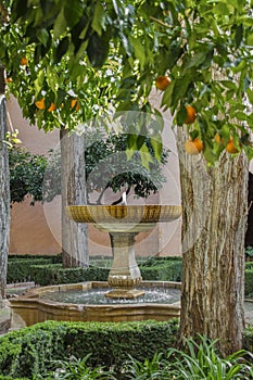 GRANADA, SPAIN - Jan 26, 2014: Daraxa\'s Garden or Garden of the Orange Trees or Garden of the Marbles in the Alhambra (Granada photo