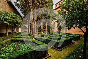 The Daraxas garden on Nasrid Palaces, Alhambra, Granada, Spain