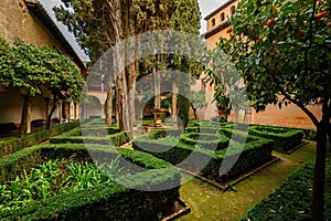 The Daraxas garden on Nasrid Palaces, Alhambra, Granada, Spain photo