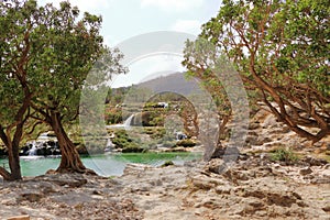 Darbat waterfalls near Salalah, Sultanate of Oman