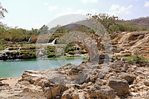 Darbat waterfalls near Salalah, Sultanate of Oman