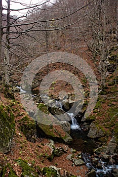 Dardagna Waterfall, Emilia Romagna photo