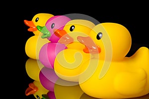 Dare to be different - rubber ducks on black