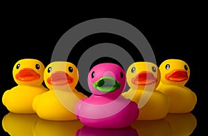 Dare to be different - rubber ducks on black photo