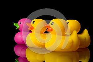 Dare to be different - rubber ducks on black