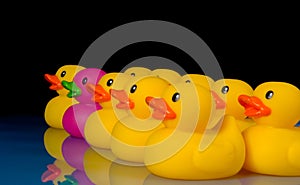 Dare to be different - rubber ducks on black