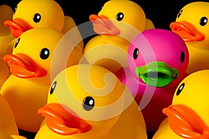 Dare to be different - rubber ducks on black