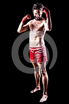 Daring boxer photo