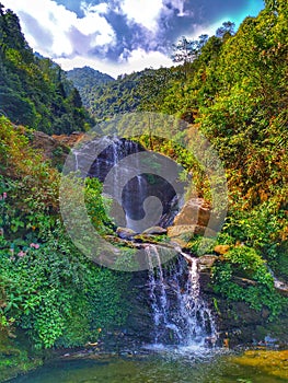 Darjeeling dairies  waterfall