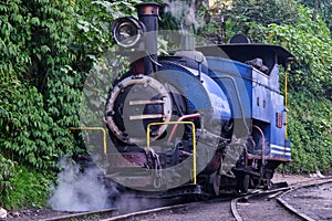 DARJEELING, INDIAN -June 22, The toy train of Darjeeling Himalayan Railway runs on the track in Darjeeling, India. Darjeeling