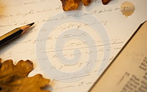 Dark academia aesthetic handwriting with Shakespeare sonnets surrounded by fallen autumn leaves