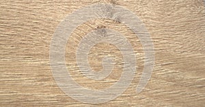 Dark ash, natural wood texture with a pronounced pattern on a saw close-up