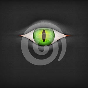 Dark Background with animal eye. Vector