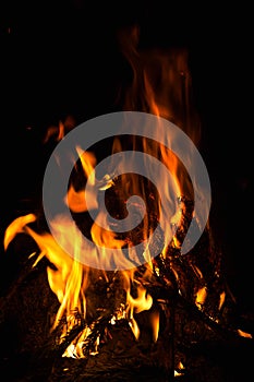 Dark background bonfire from branches in the fireplace .