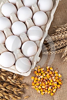 On a dark background, eggs in a tray, corn seeds, ears of wheat and oats, top view. The concept of an organic farm