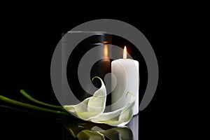 Mortuary urn, burning candle and flowers on dark background